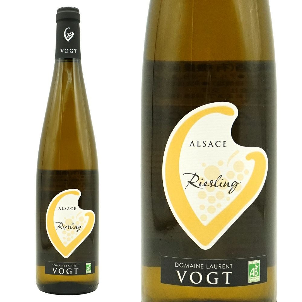 アルザス リースリング 2023 ドメーヌ ローラン ヴォグト元詰