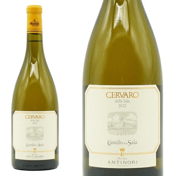 チェルヴァロ デラ サラ 2022 カステッロ デラ サラ(アンティノリ) IGT