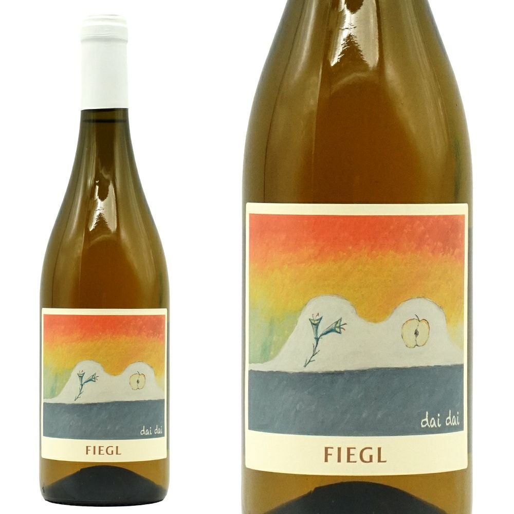 ダイダイ (オレンジワイン) 2024 フィグル家 I.G.T.ヴェネツィア 自然